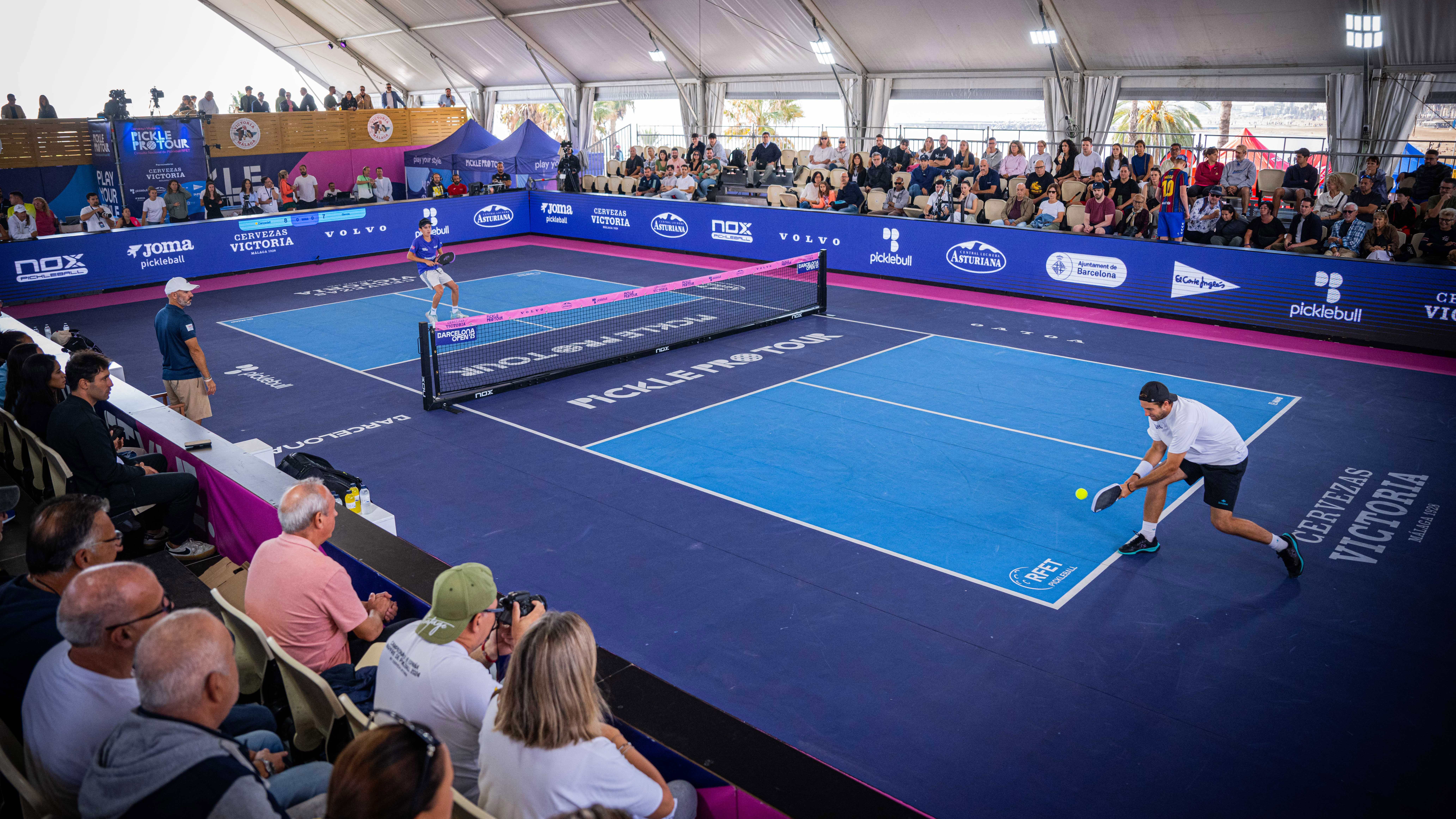 Pickle protour 1123 dinkeando